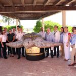 77dc776df4521aabafd80db34754a079